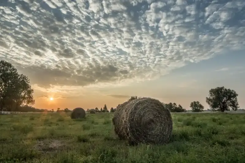 Hora Dorada: Cuando la luz del sol es cálida y las fotos son mágicas.