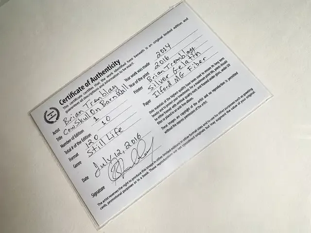 Cómo fijar el precio de tu fotografía de arte fino