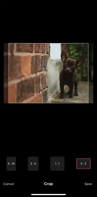 Cómo compartir fotos en TikTok