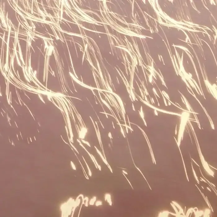 Movimiento intencional de la cámara: Una introducción a la fotografía ICM