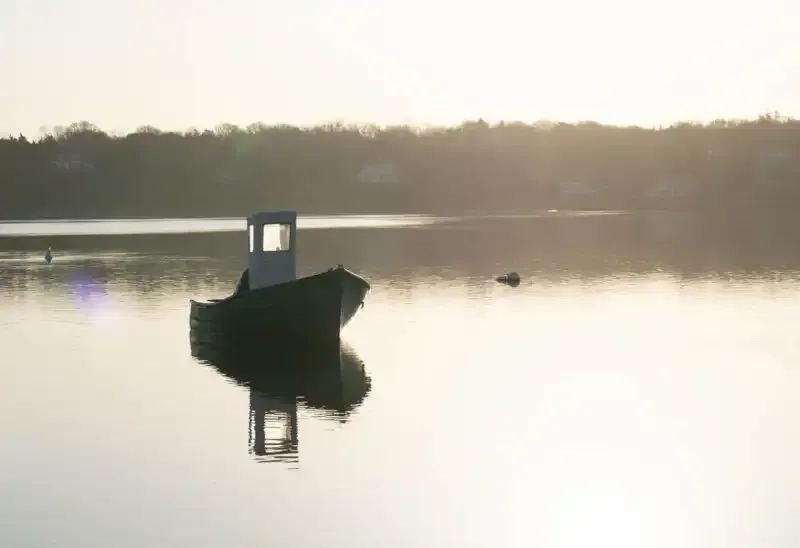 Halo de luz en la fotografía: Una guía completa.