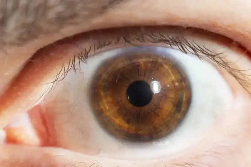 Cómo fotografiar tu propio ojo