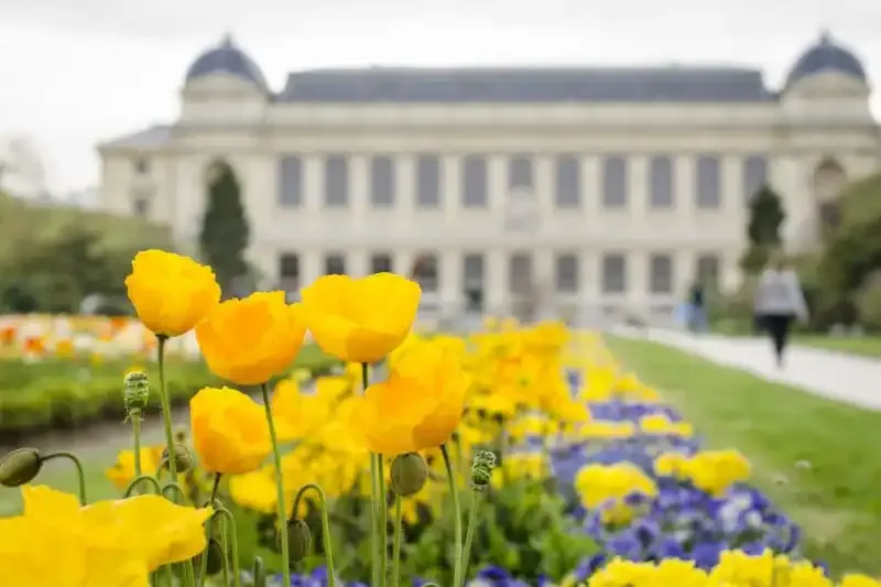Explicación de la Profundidad de Campo