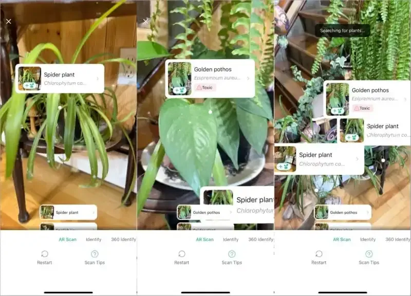 PictureThis: La mejor aplicación de cámara para identificar plantas.