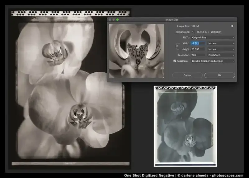 Cómo utilizar el sistema de zonas en fotografía
