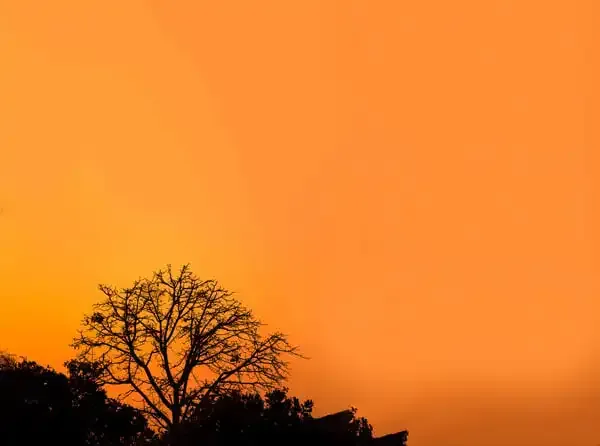 Espacio negativo: cómo agregar algo sin nada