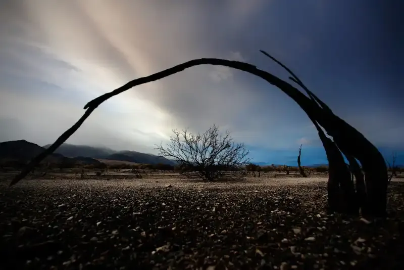 'Frame Within a Frame: Enmarcado natural para mejores composiciones fotográficas'