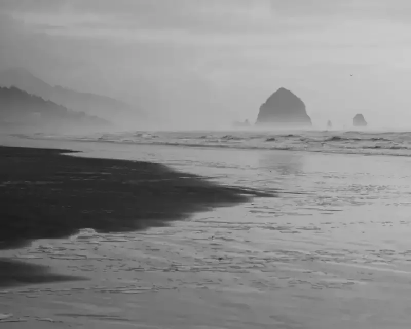 Fotografía en Blanco y Negro: La Guía del Principiante.