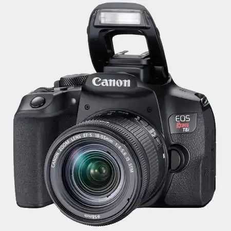Canon Rebel: Una guía de la popular línea de cámaras para principiantes.