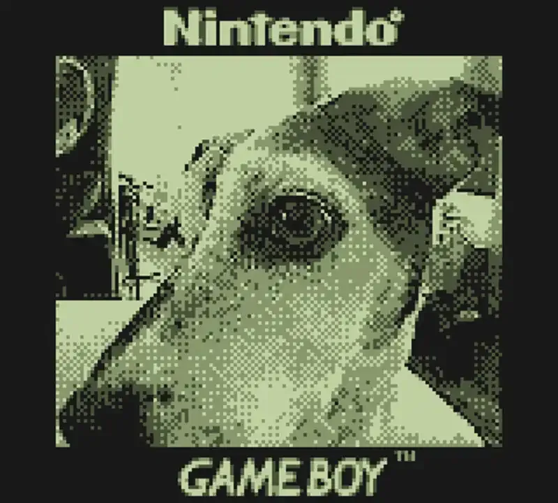Cómo hackear una Game Boy Camera para usar lentes de cámara "reales"
