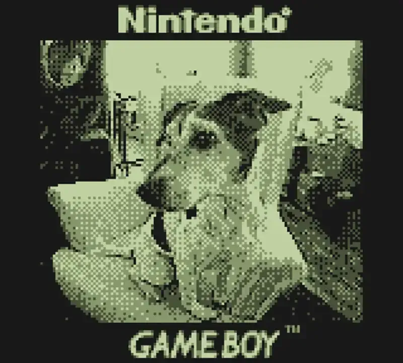 Cómo hackear una Game Boy Camera para usar lentes de cámara "reales"