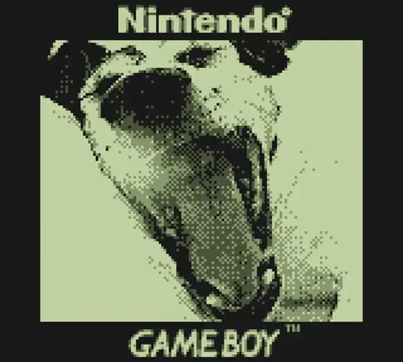 Cómo hackear una Game Boy Camera para usar lentes de cámara "reales"