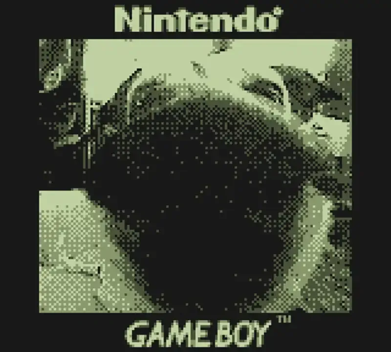 Cómo hackear una Game Boy Camera para usar lentes de cámara "reales"