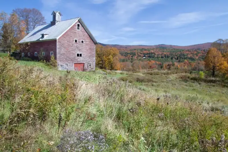 Líneas guías en la fotografía: una guía completa.