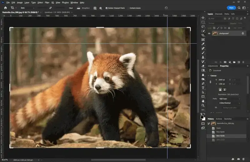 Cómo recortar en Photoshop.