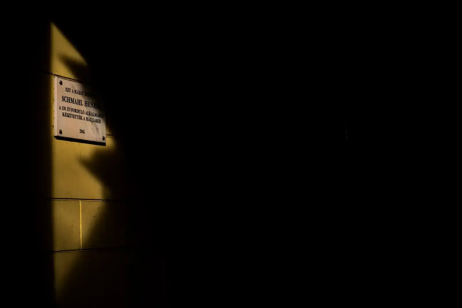 Fotografía callejera: Una guía completa.