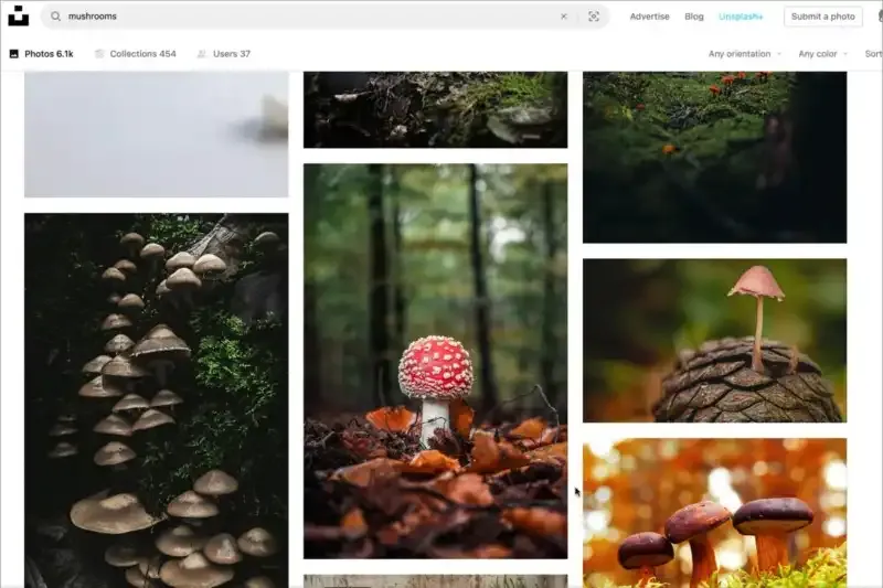 Unsplash: ¿Qué es y cómo funciona?