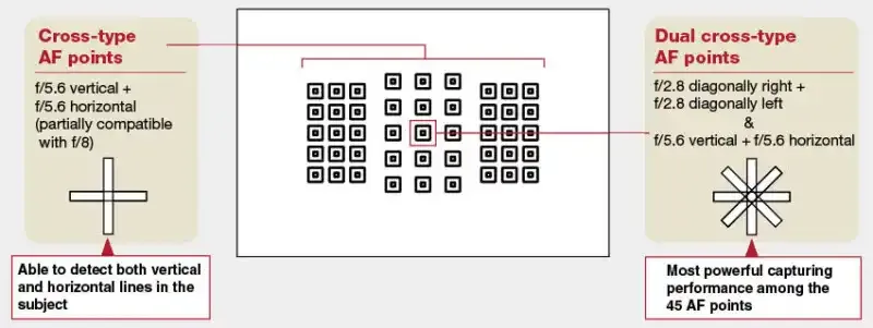 Cómo funciona el enfoque automático en fotografía