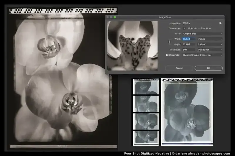 Cómo utilizar el sistema de zonas en fotografía