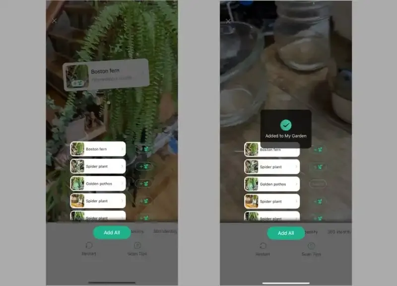 PictureThis: La mejor aplicación de cámara para identificar plantas.