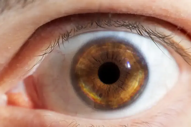 Cómo fotografiar tu propio ojo