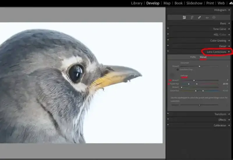 ¿Qué es la aberración cromática? ¿Cómo lidiar con el desenfoque de color?