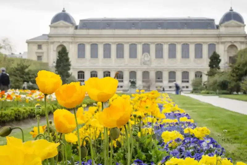 Explicación de la Profundidad de Campo