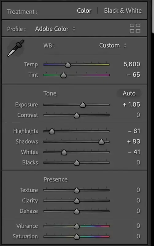 Astrofotografía: La guía definitiva.